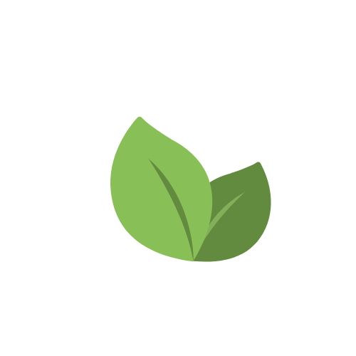 My Custom Logo